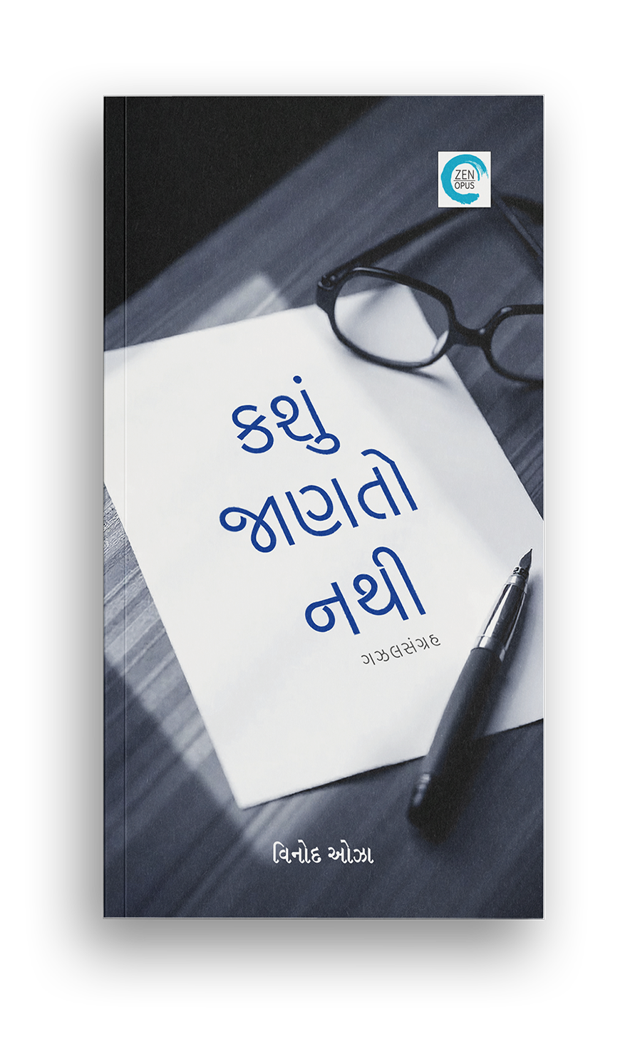 કશું જાણતો નથી